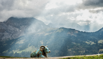 stark verfremdete, psychodelisch wirkende Kuh im Sonnenstrahl vor Bergkulisse