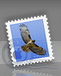 apple_mail