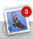 e-mail_icon