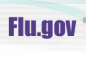 www.flu.gov