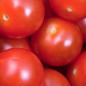 Tomaten Pomodoro