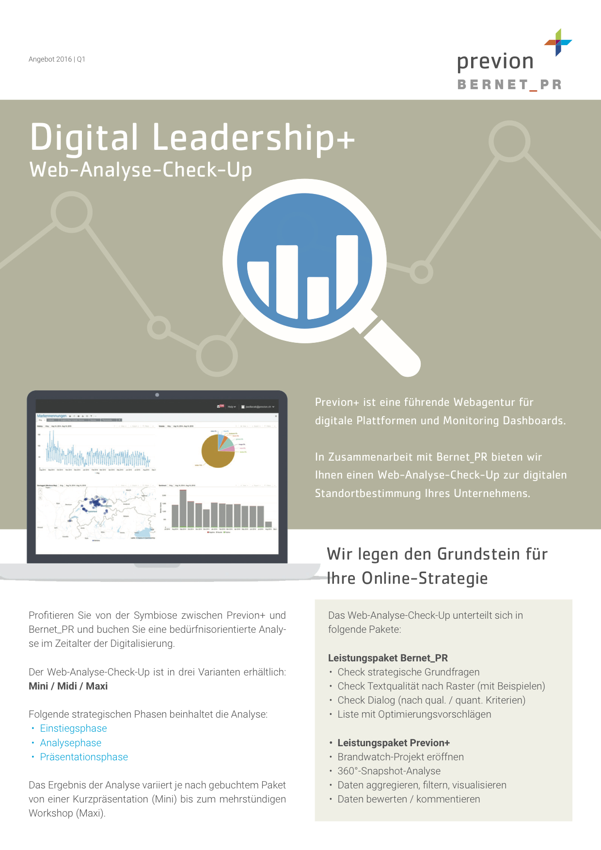 digital-leadership-web-analyse-check-up