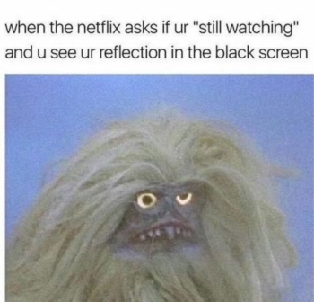 meme: netflix still watching